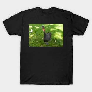 Black Swan T-Shirt